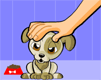 Petit chien